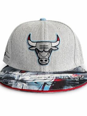 NWOT Chicago Bulls Gray & Blue Snapback Hat - Artist Series